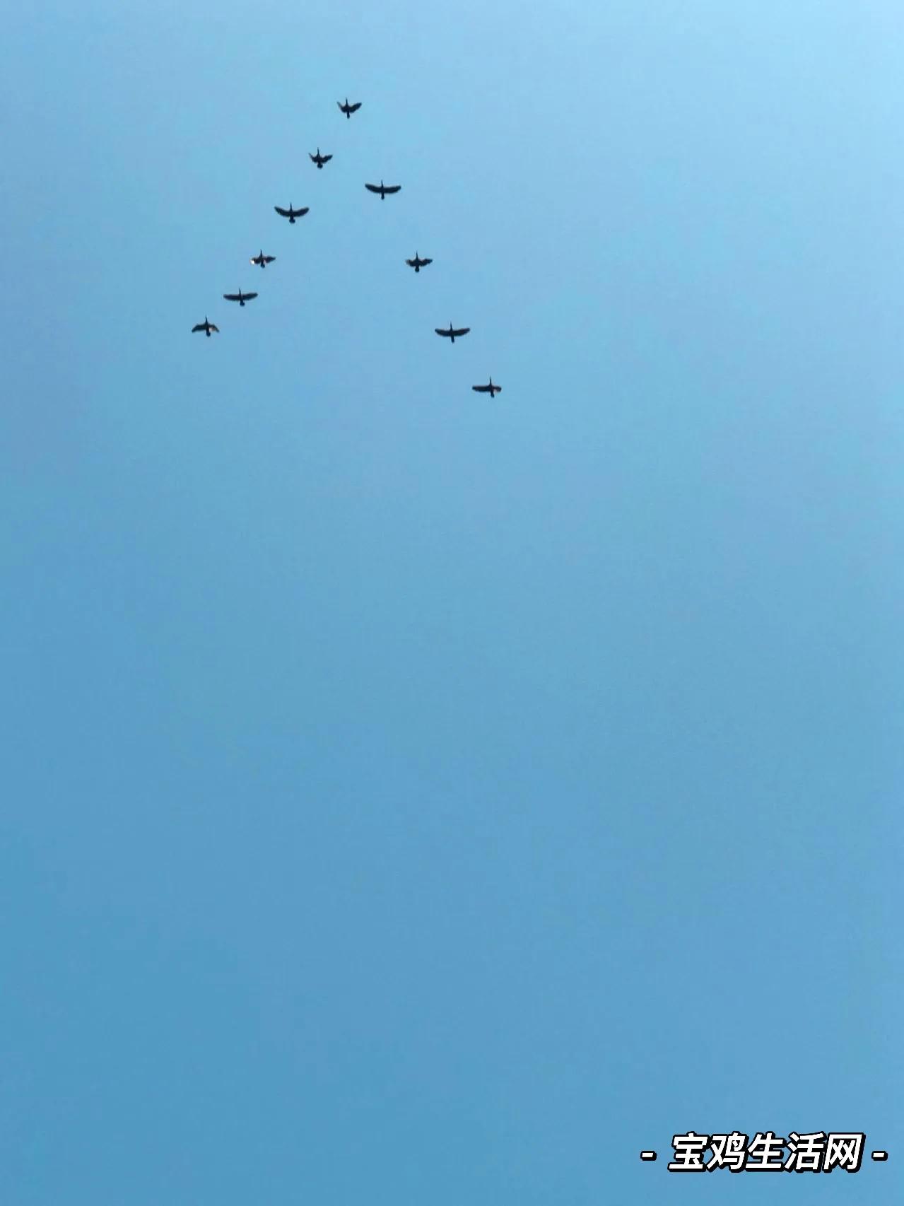 用宝鸡山水为《牧羊曲》配插图，日出嵩山坳，晨钟惊飞鸟