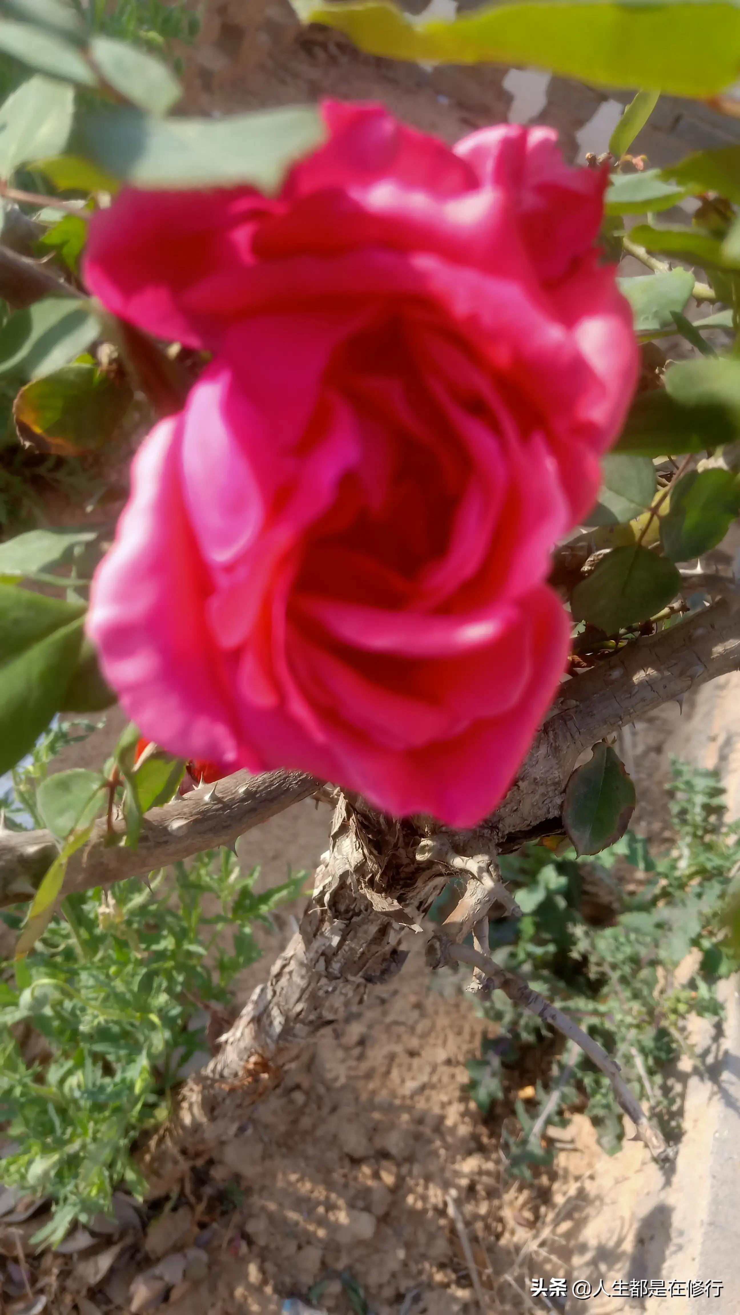 教大家一种拒绝的方法,拒绝别人的七个技巧教学