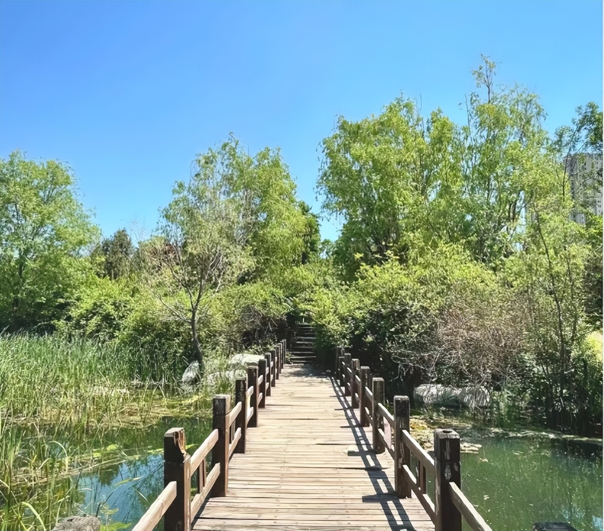 唐山重点暖企惠民政策,唐山惠民中心