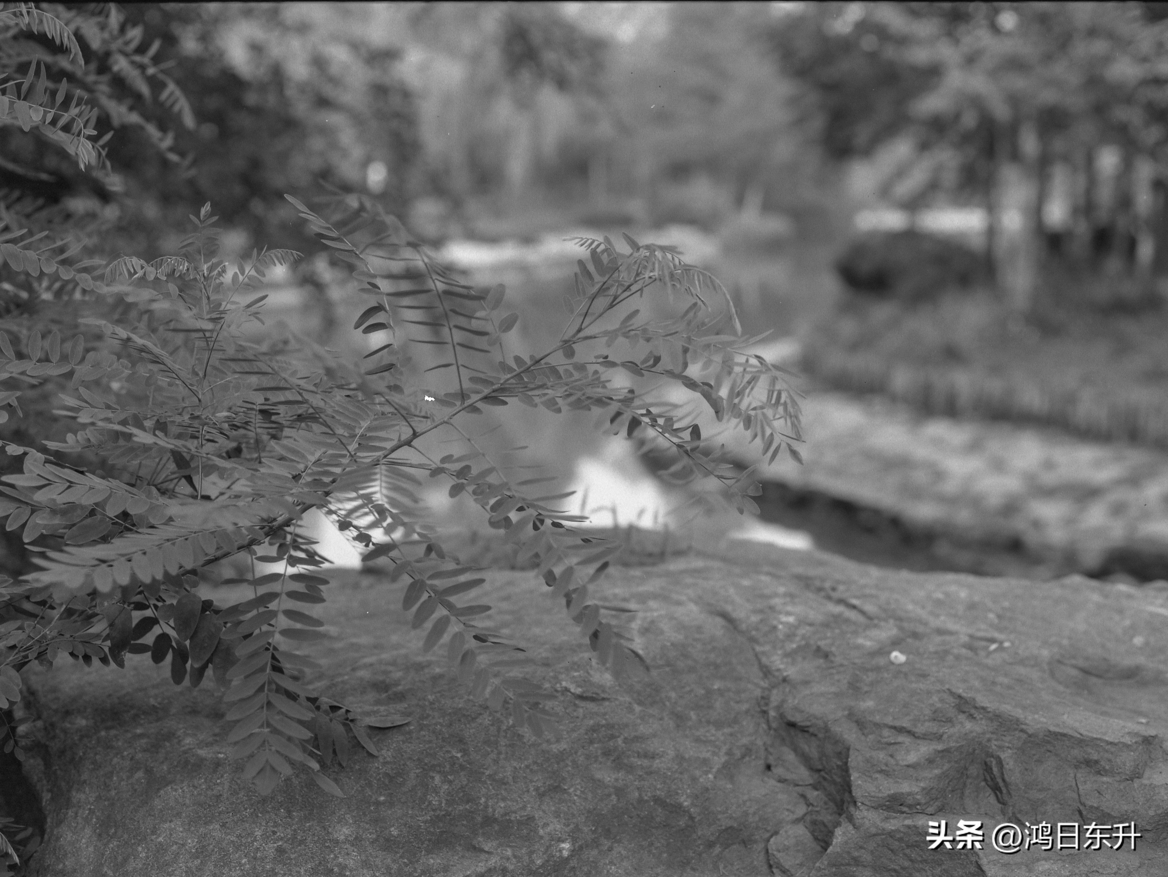 宾得645Nii老胶片相机值得拥有