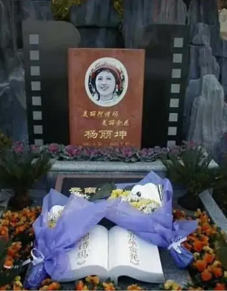 阿诗玛杨丽坤的两个儿子近况,杨丽坤阿诗玛双胞胎近况