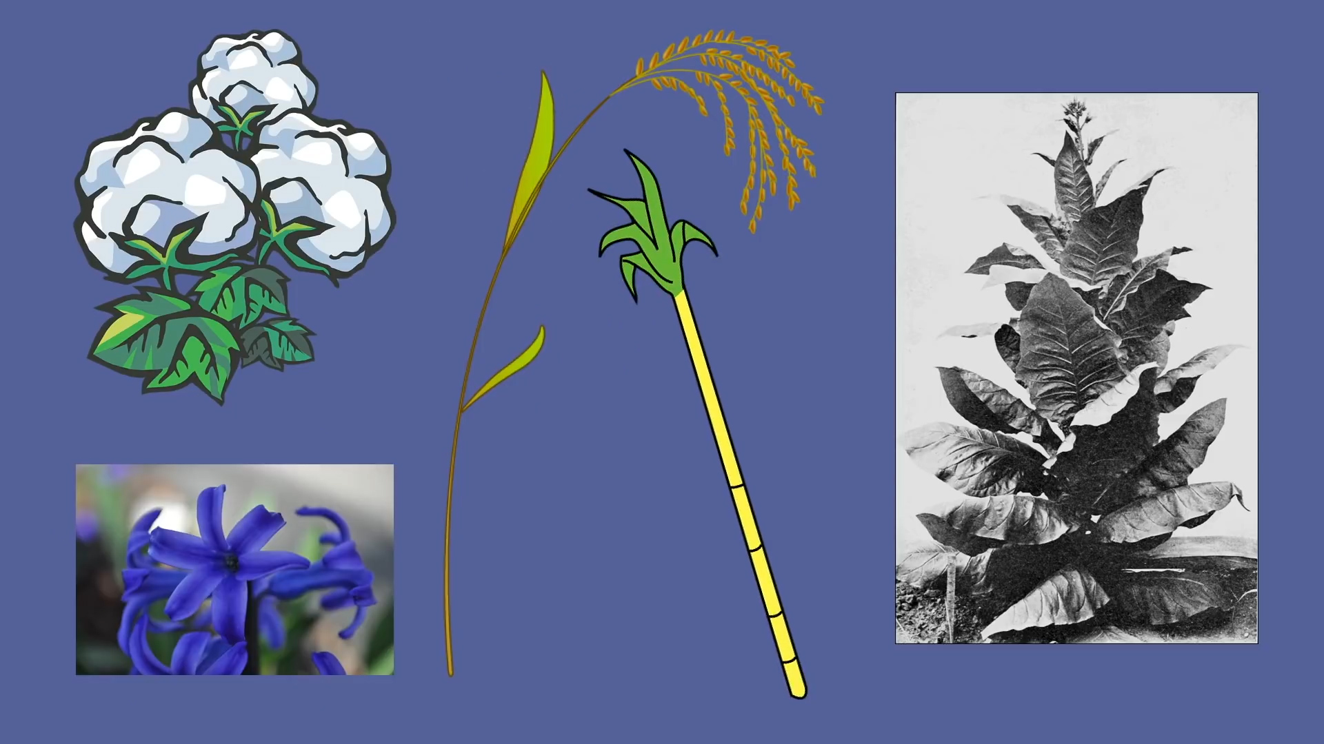 美国南北方实力对比,美国南北方差异地图