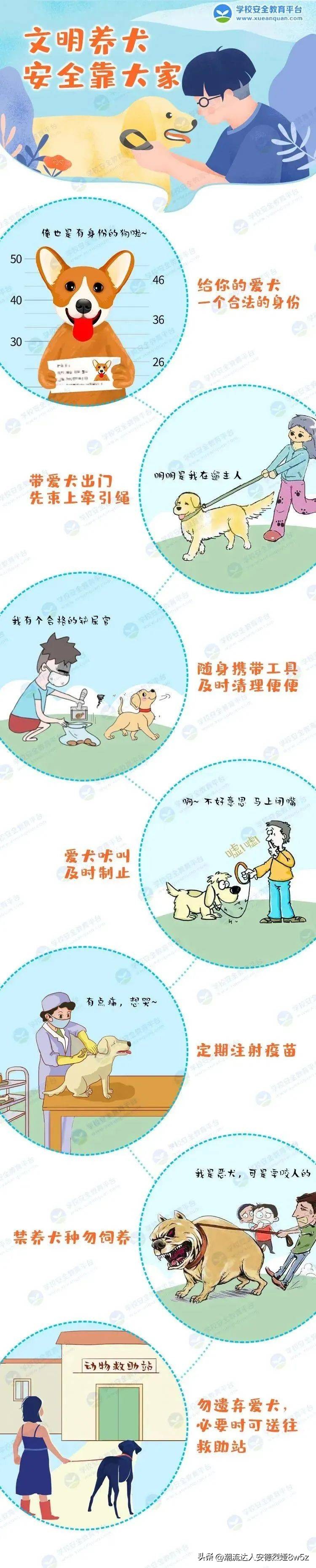 孩子被小动物咬伤后怎么处理,被流浪狗咬伤后正确处理方式