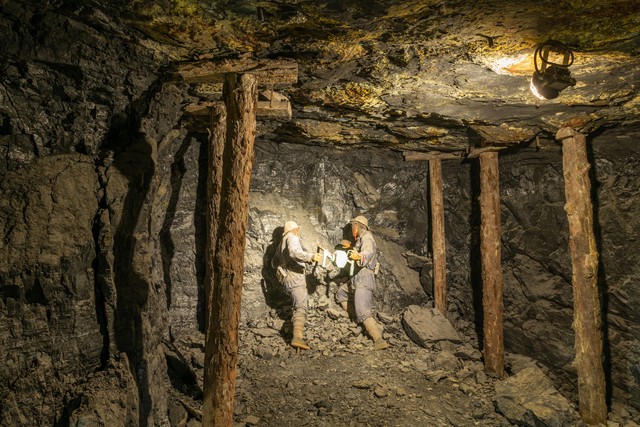 大学应该选什么专业比较好就业,不知道选择什么专业好迷茫