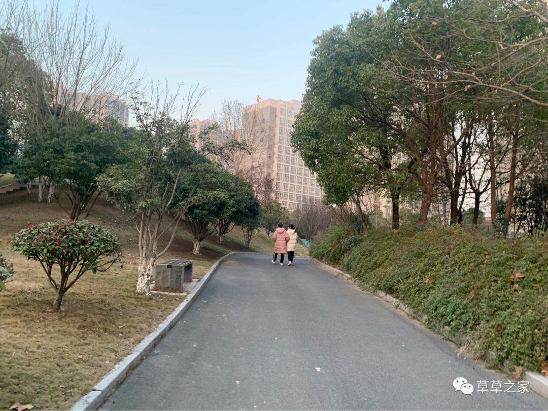 合肥一中有一个后花园，你进去玩过吗？早春里的一中后花园