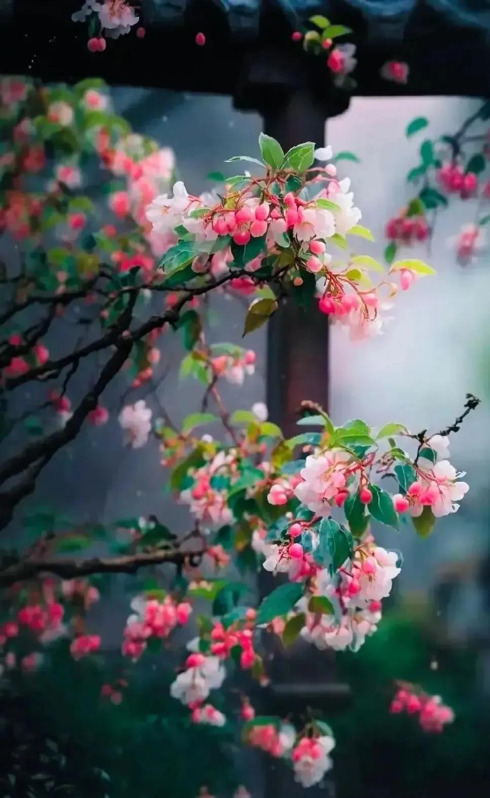 锅糊了怎么彻底去除黑底,锅糊了怎么去除黑渍芹菜