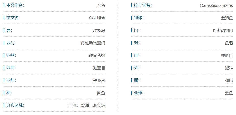 最好养的观赏鱼冷水鱼有哪些中型,冷水鱼有哪些观赏鱼比较好看