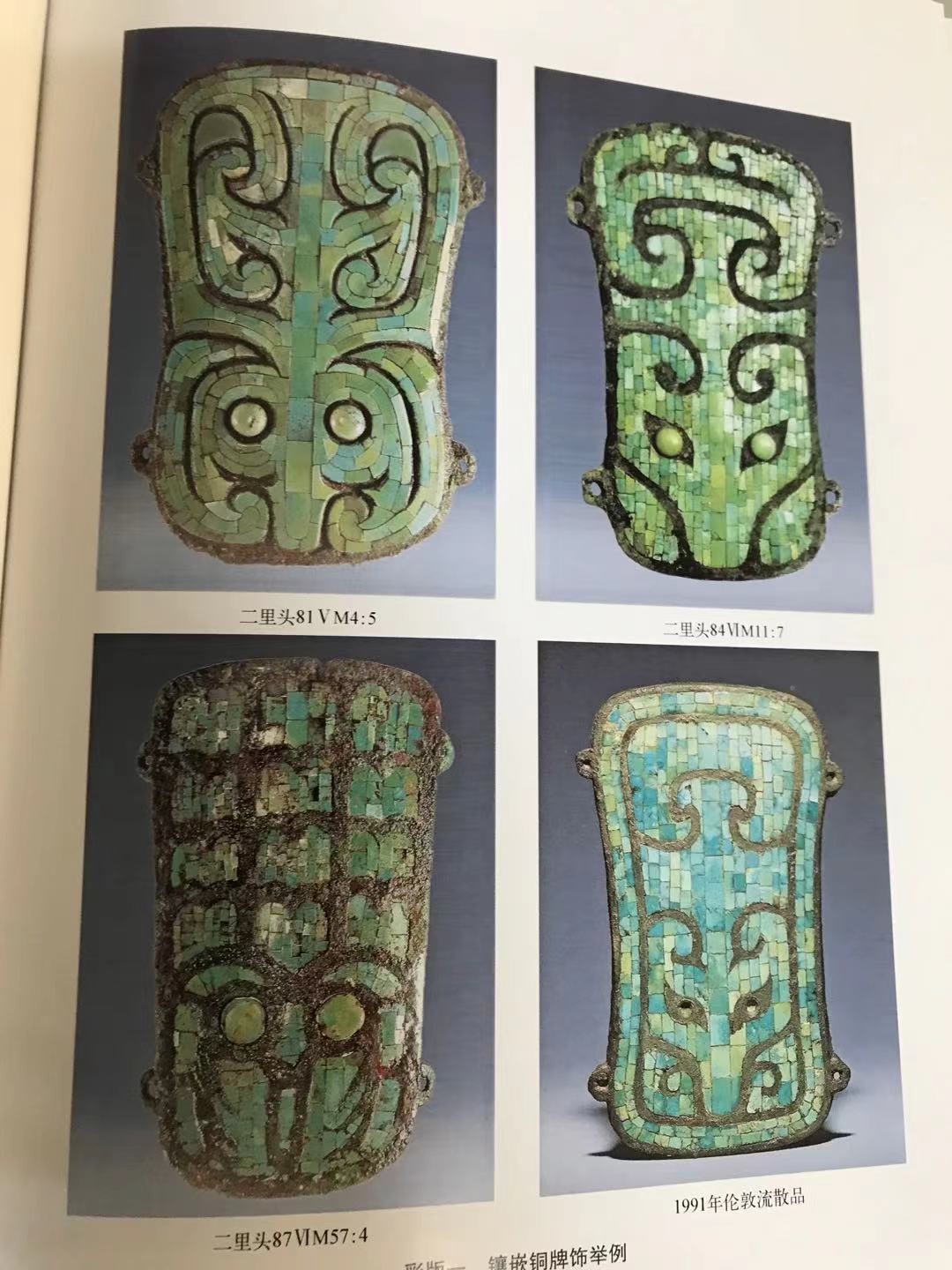 人类起源新说,人类起源新论完整版