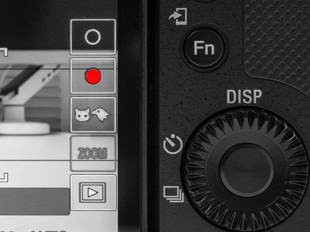 技术不够装备来凑，索尼ZV-E1真定位新手？Vlog初学者心得分享