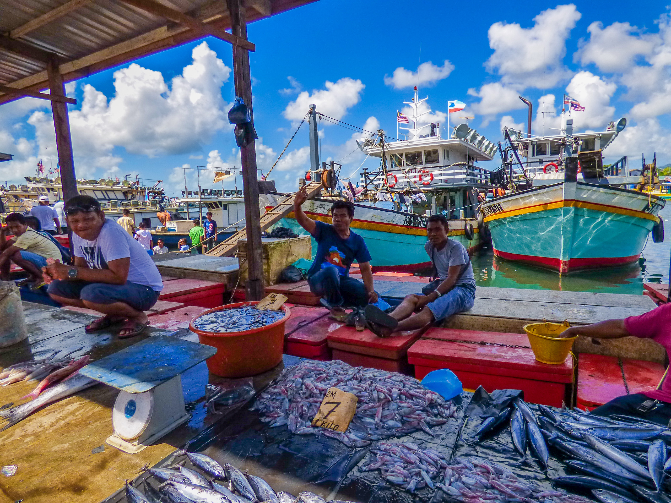 马来西亚仙本那海底,潜水马来西亚仙本那