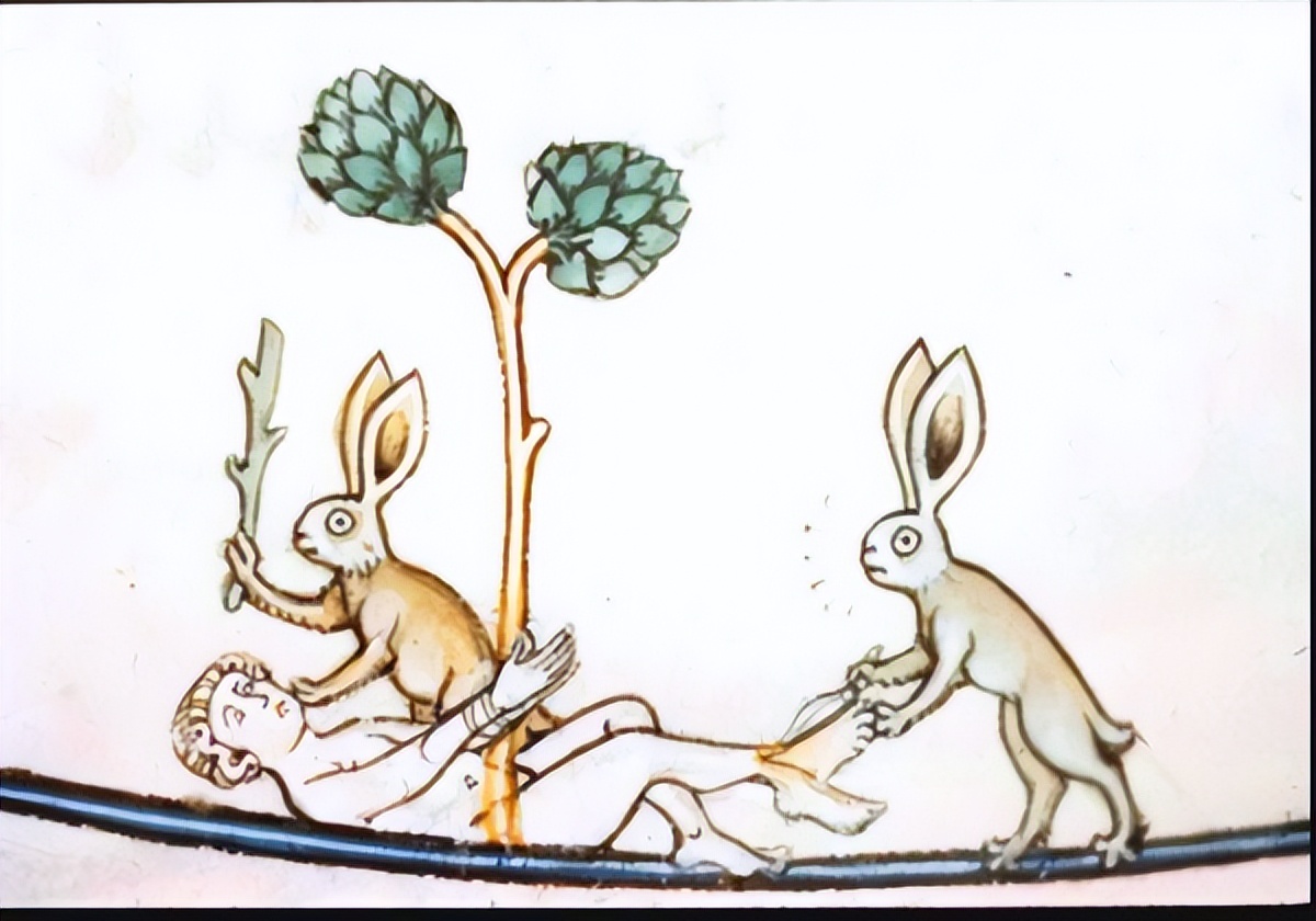 遇到中世纪的狂暴兔子，连亚瑟王都得认怂