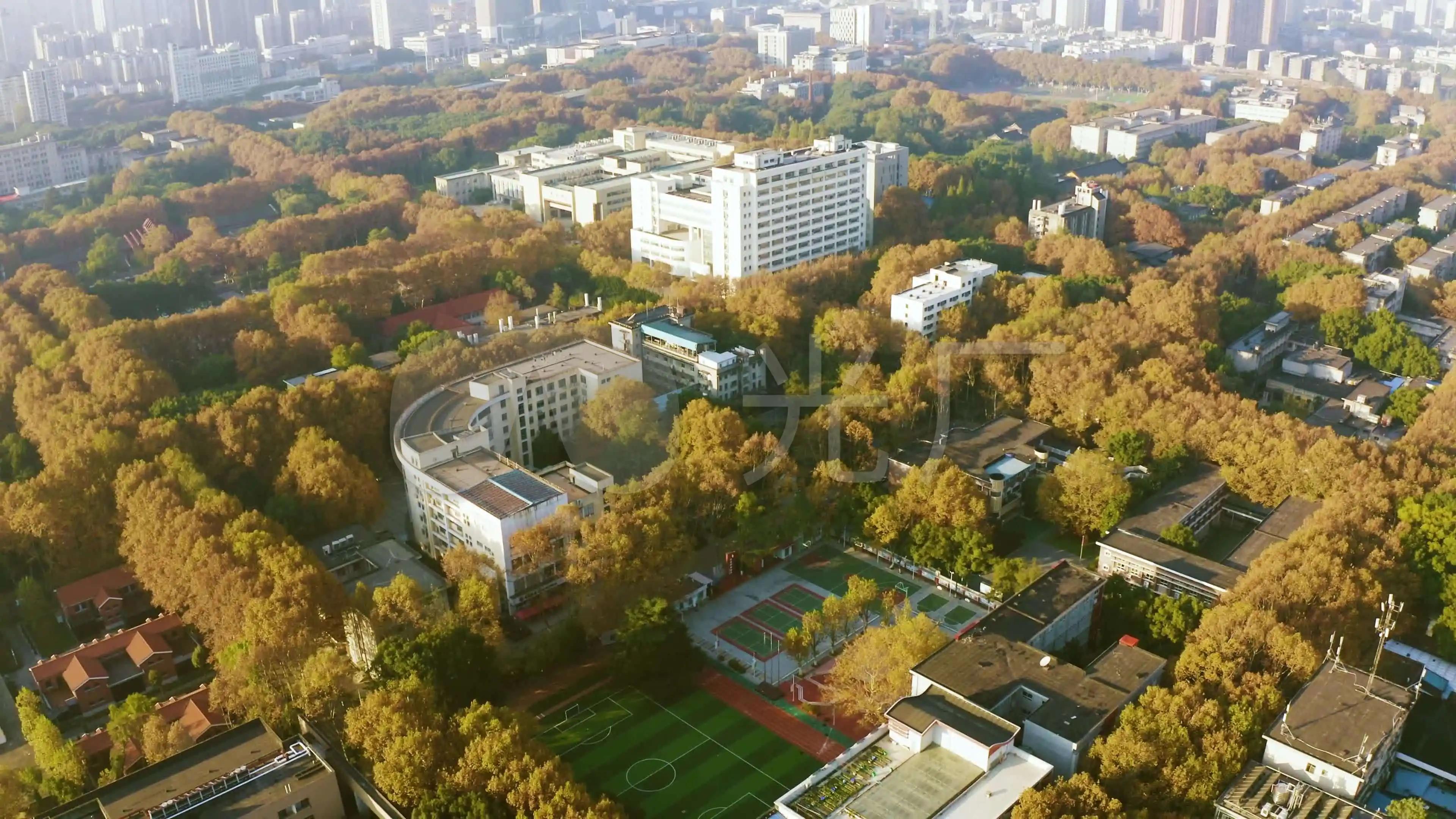 华科为何被称为网红,华科最近为啥这么火