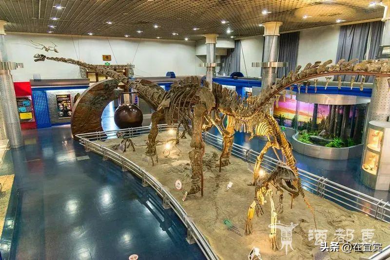 恐龙故乡黑龙江,四川的恐龙之乡