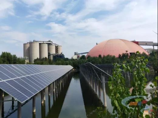 盘点经历过创业的大起大落,煤超疯现象供需分析图