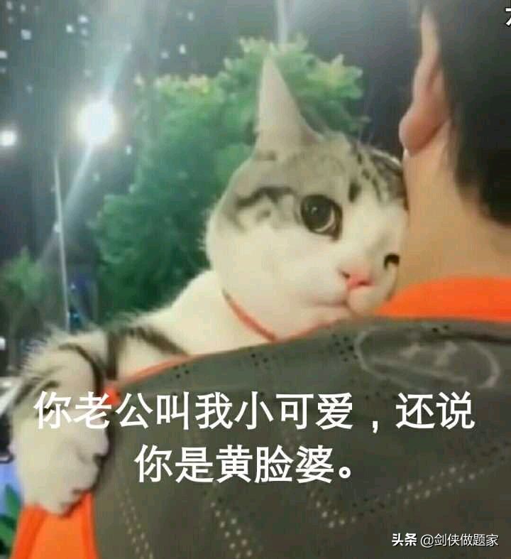 剑网3买号主要看什么,剑网3官方买号主要看什么