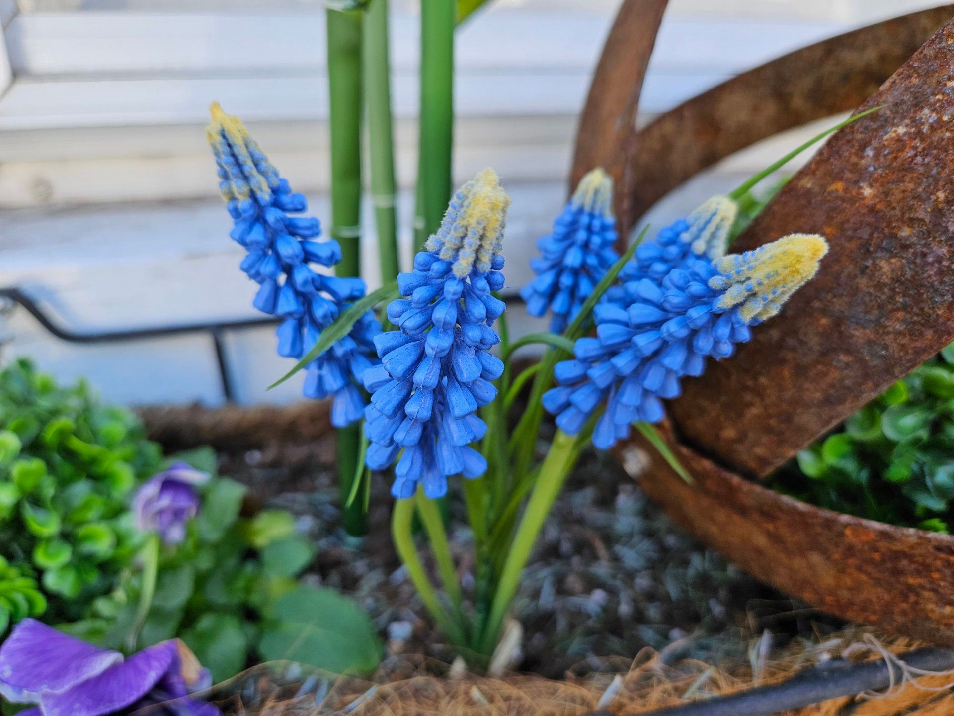 三星galaxys23深度评测王者,三星galaxys23全系评测