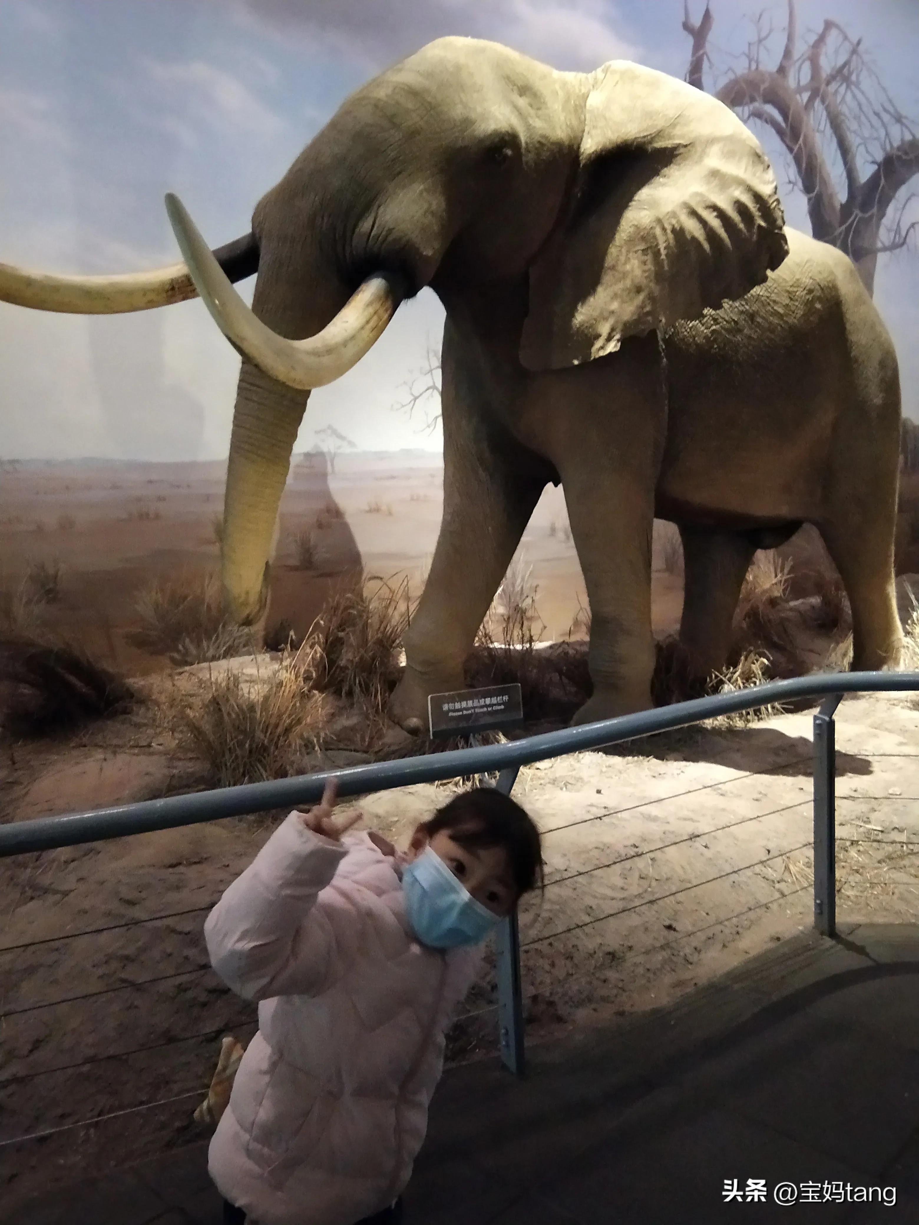 上海科技馆游玩全攻略,上海科技馆儿童馆攻略