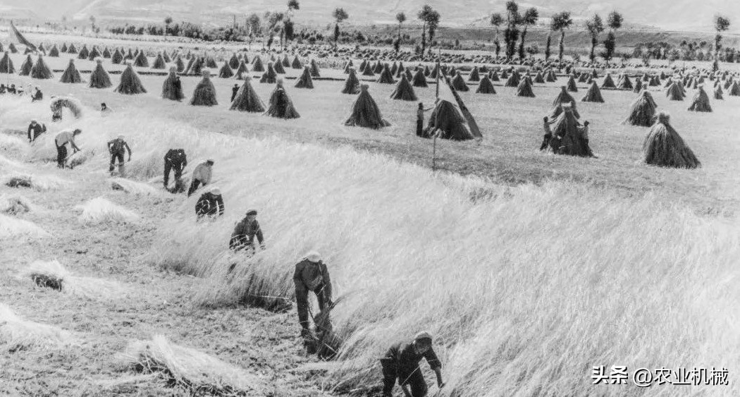 农业合作社的经营特点,我国农业合作社发展史