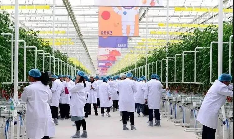 农业主题公园怎么打造,世界最成功的农业主题公园