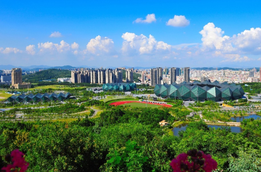 深漂十余载，独爱龙岗区，且看深圳的幸福生活