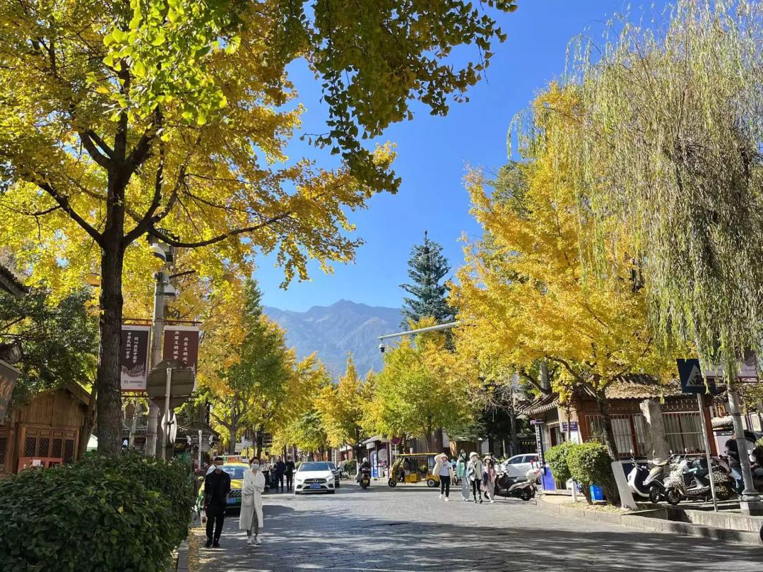 广州的大学生上网课,00后大学生去学校