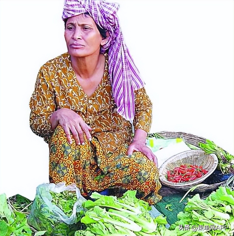 柬埔寨水布价格表,水布