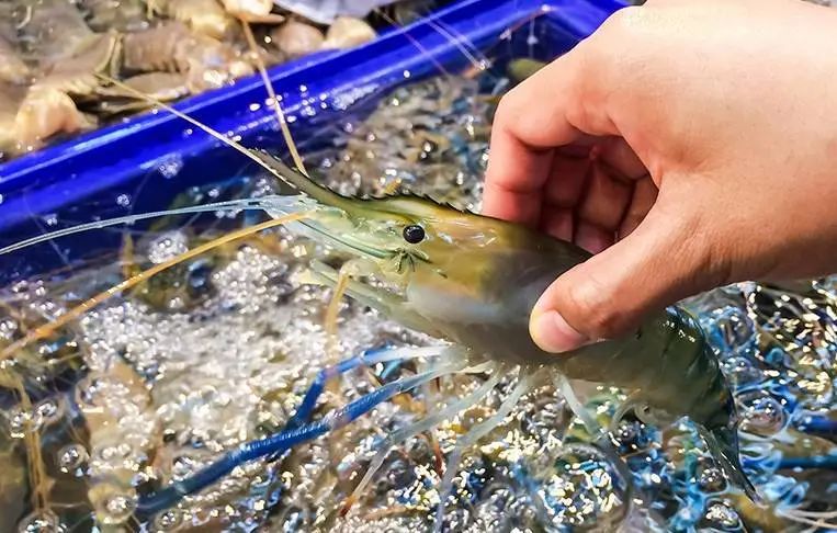 太子园林酒家焕新钜惠|一星价格五星享受