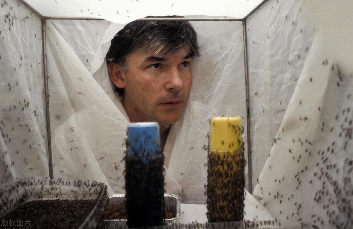 大腿内侧一片蚊子叮咬红疙瘩,和蚊子叮咬一样的红疙瘩