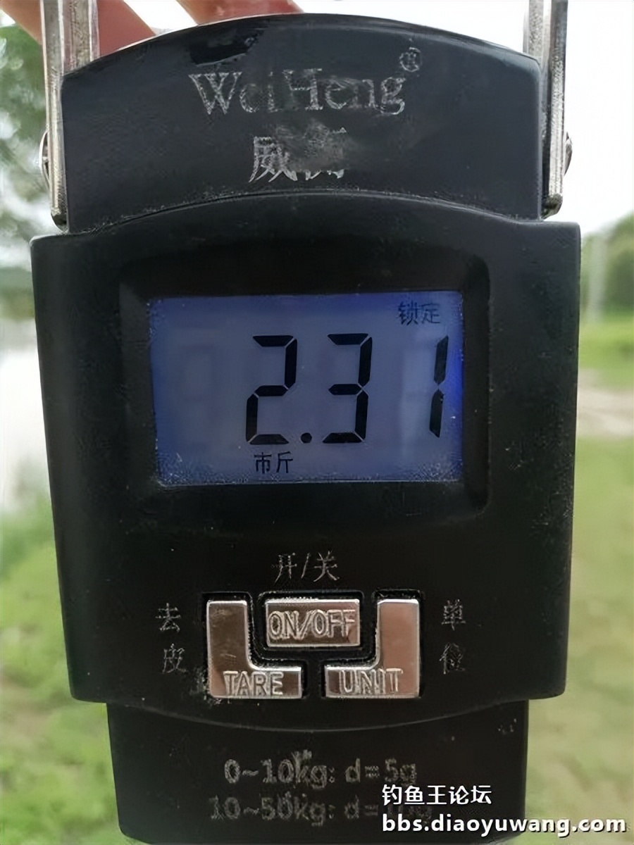 崇明北横引河水深,北横引河能钓鱼吗