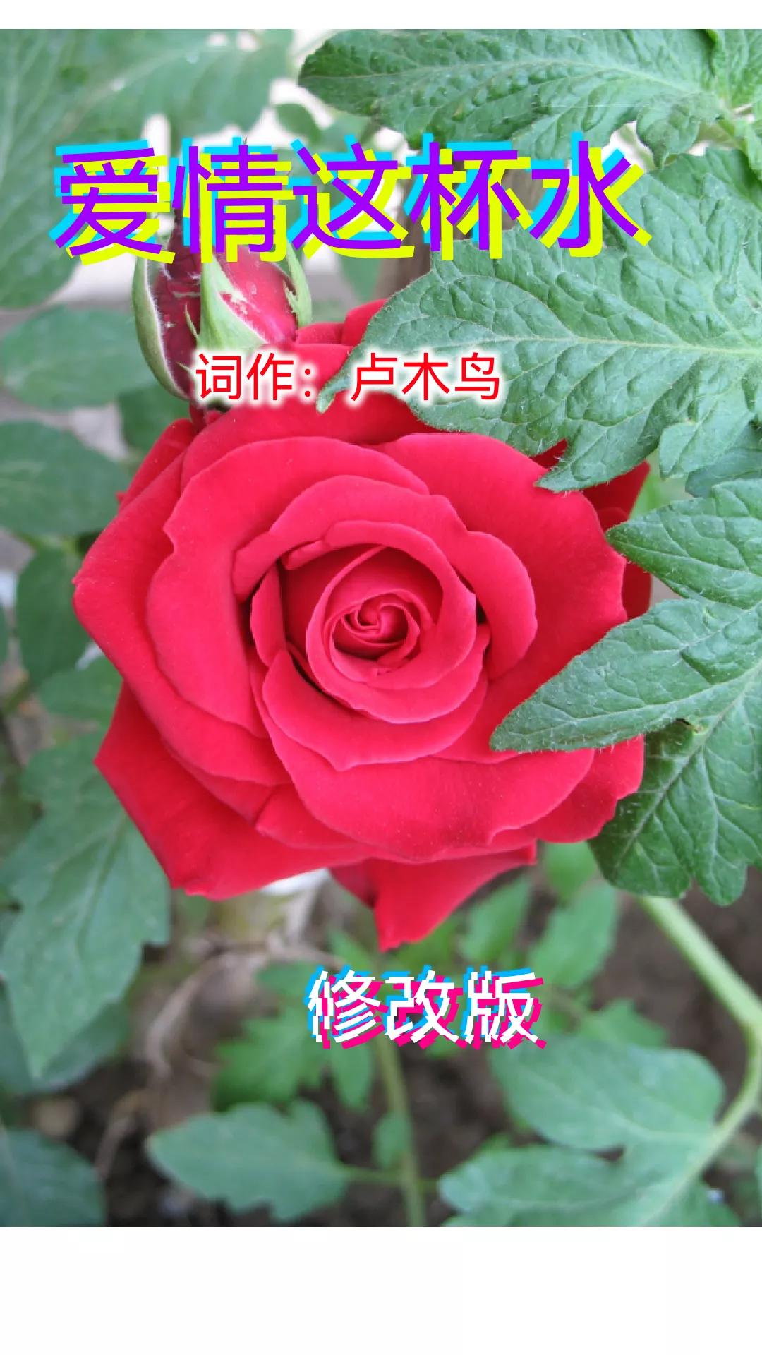 创作灵感关于爱情这件事,创作灵感在爱情的世界里