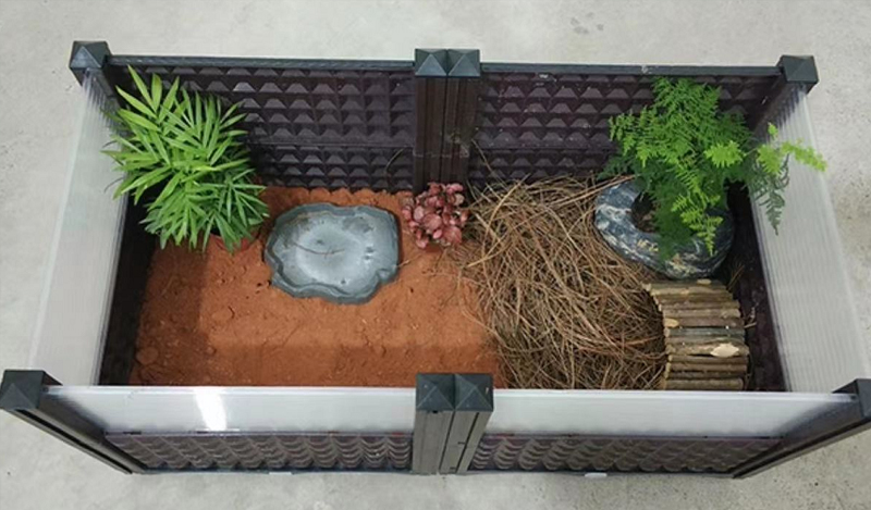 黄喉拟水龟养殖场水深标准,黄缘闭壳龟龟苗多久长大