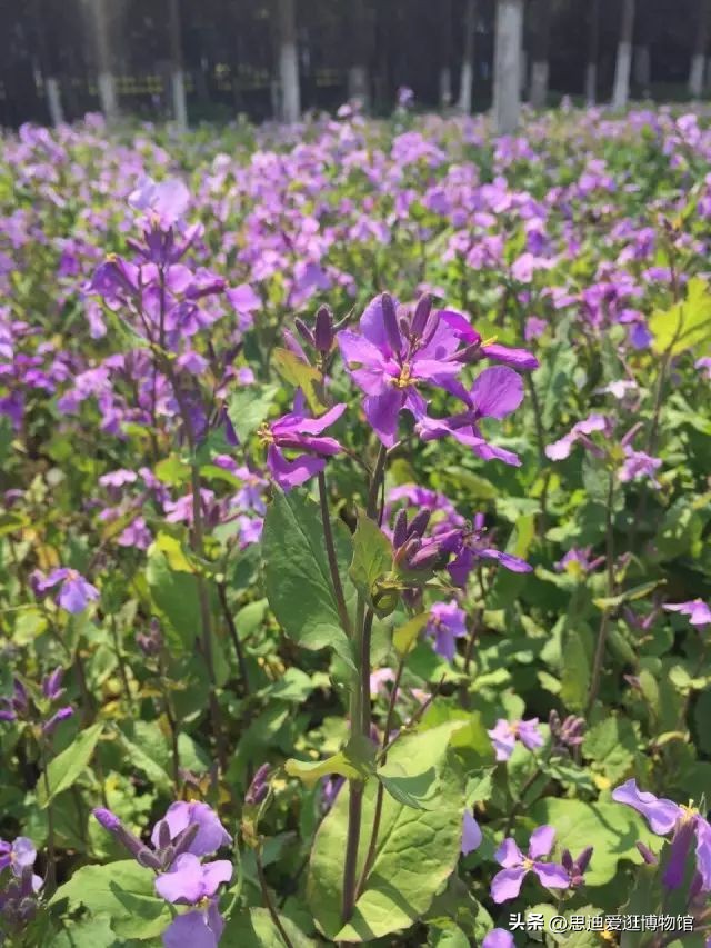 南京日本大屠杀遇难同胞纪念馆,日军大屠杀遇难同胞纪念馆