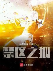 一部关于足球的小说推荐,有什么好看的足球小说啊