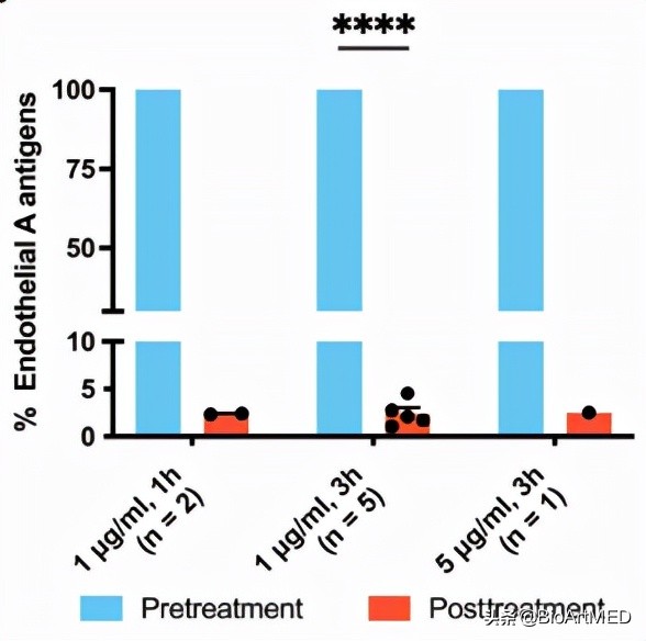 打破血型相斥的壁垒——通用血型肺移植供体是怎样诞生的？