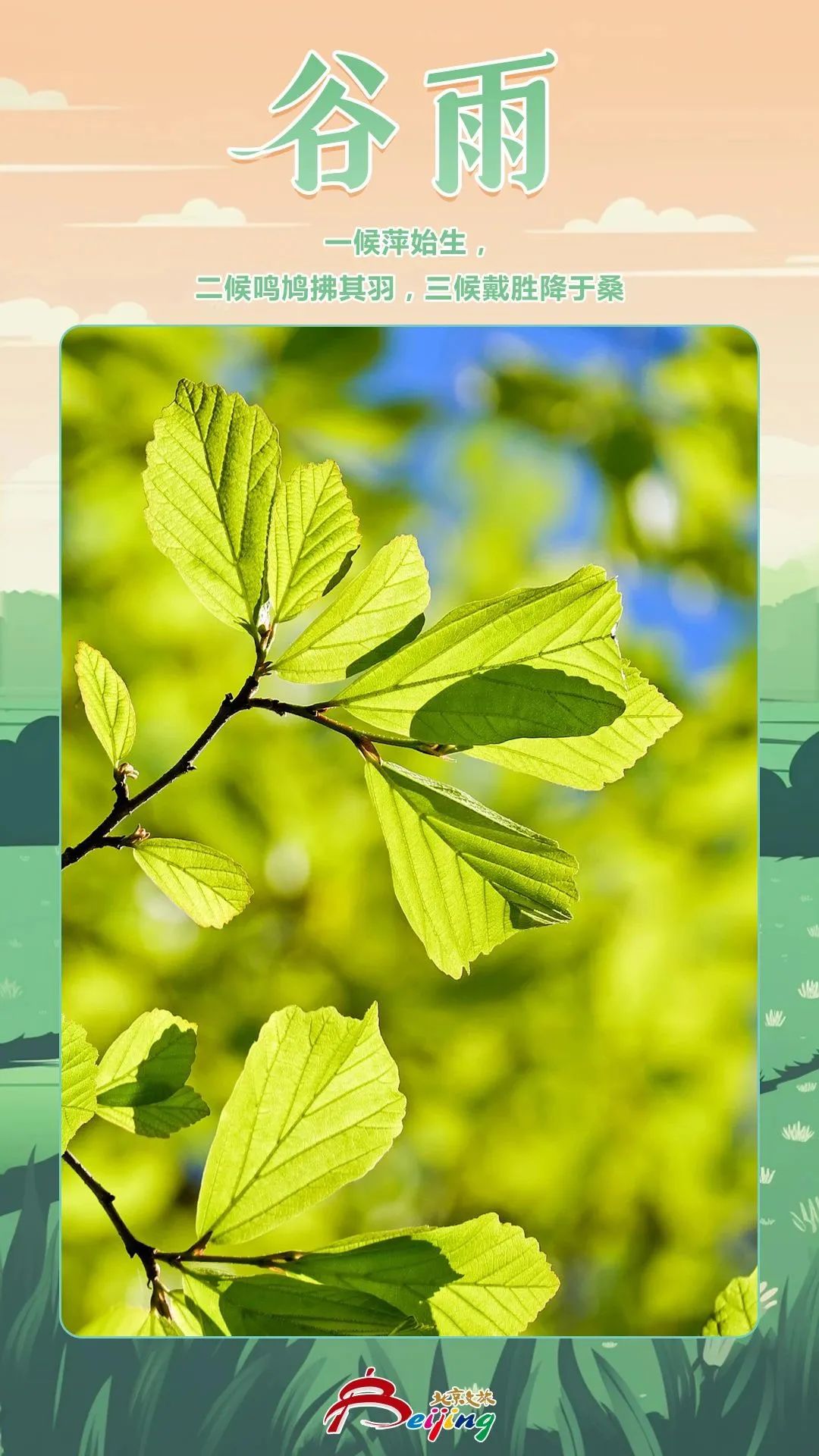 谷雨的到来意味着暮春已至,暮春初夏到谷雨