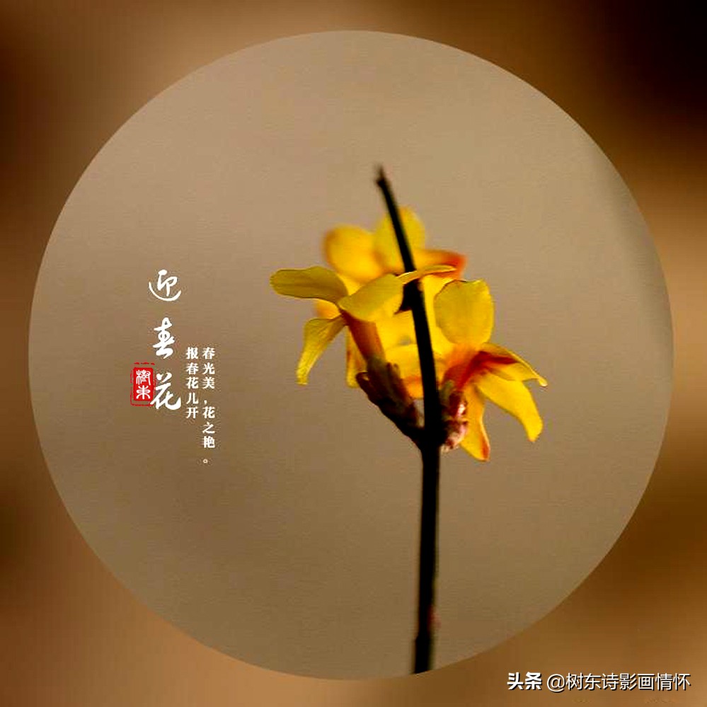 诗词中最美的春天,100句诗词写出最美的春天