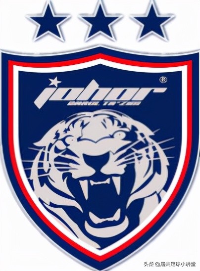 老虎代表的足球队,老虎是国内哪个足球队的队标