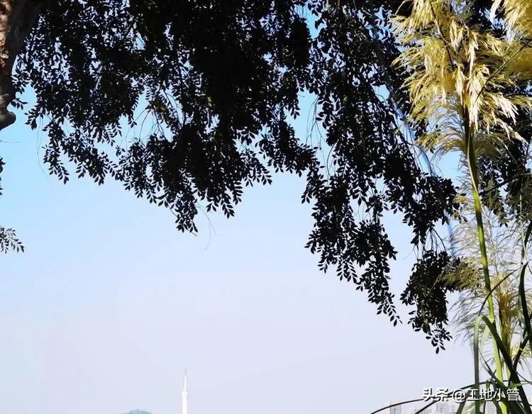 蚌埠心脑血管医院项目,蚌埠为什么要建设心脑血管医院