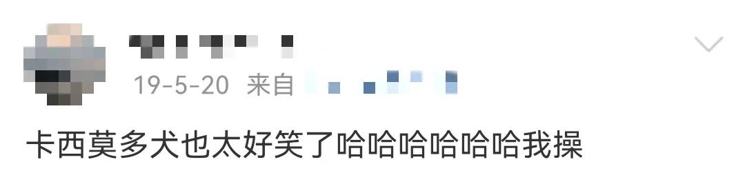 这样的阴间猫狗审美,早该翻车了