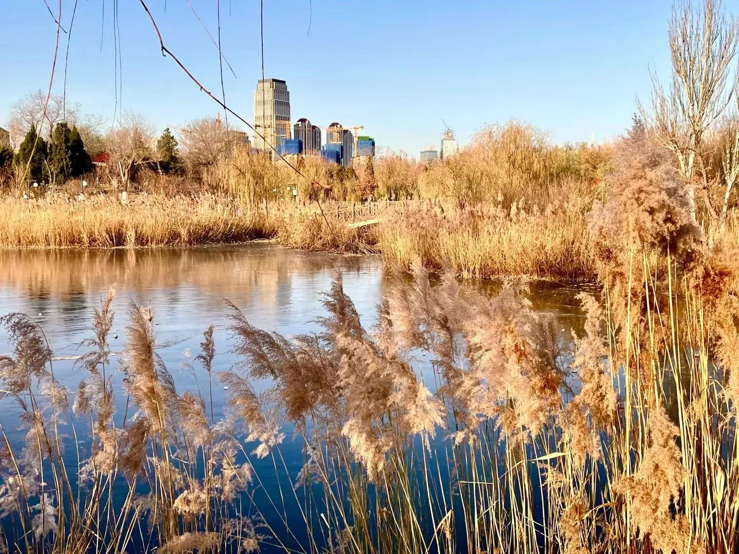 天津二宫老照片,天津二宫最新消息