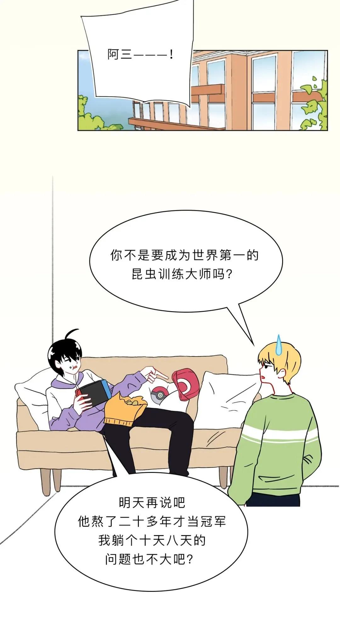最近看到这些虫子，不要随便拍，建议提前了解（漫画讲解）