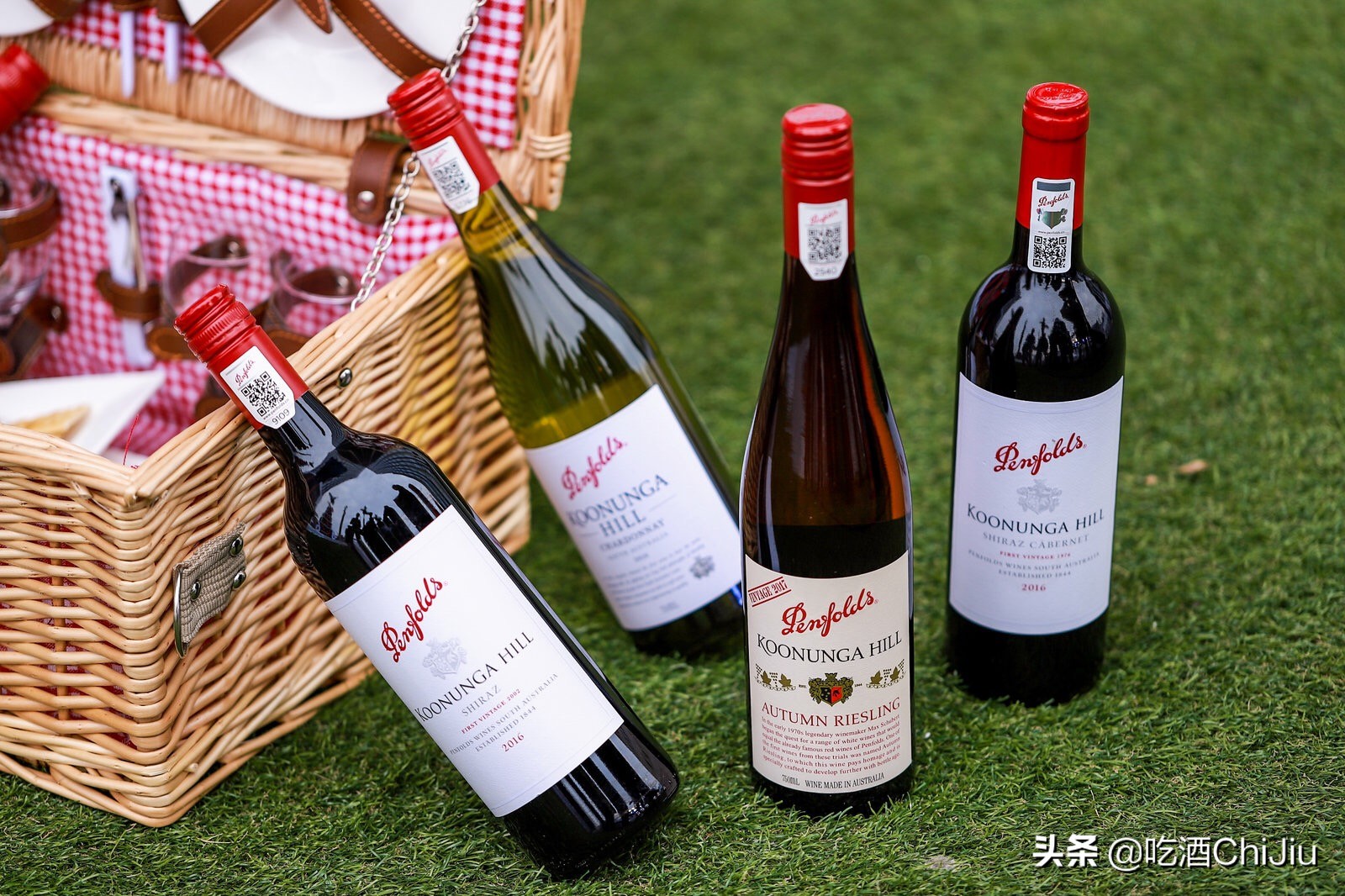 奔富葡萄酒是指哪些,奔富国产葡萄酒为什么火