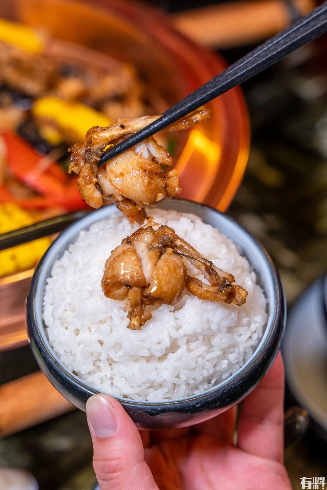 松山湖万象汇牛蛙团购,东莞牛蛙店