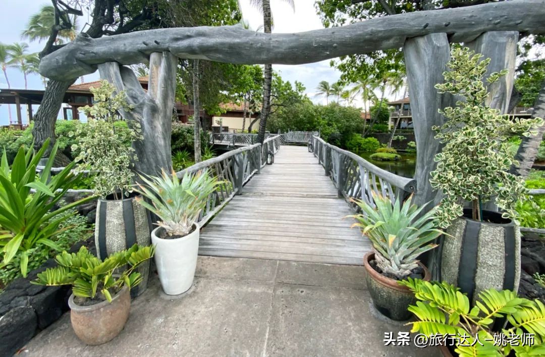 夏威夷的活火山喷发,夏威夷火山喷发大岛还能旅游吗