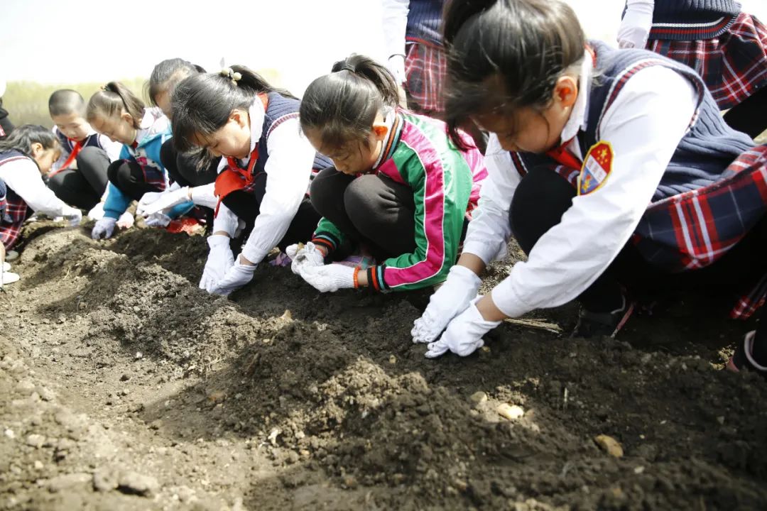 喜迎二十大强国复兴有我诵读总结,喜迎二十大强国复兴有我主题报道