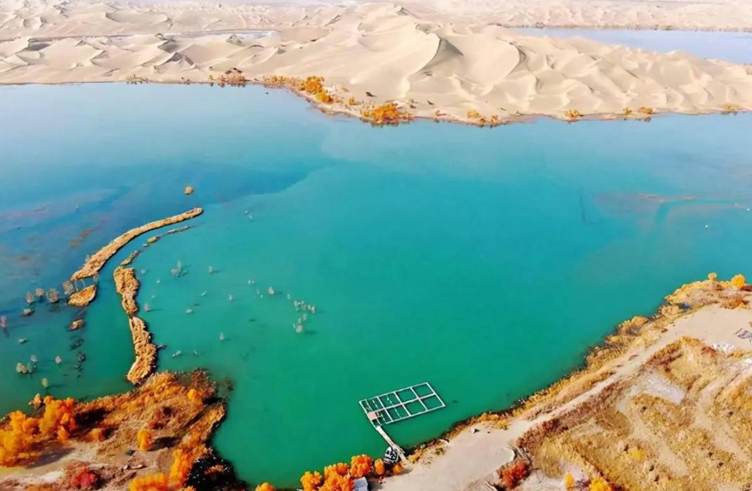 新疆库尔勒罗布湖螃蟹,南疆无人区沙漠湖泊