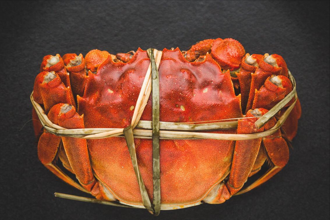 12种常见螃蟹的区别与特点,常吃螃蟹种类区分图解