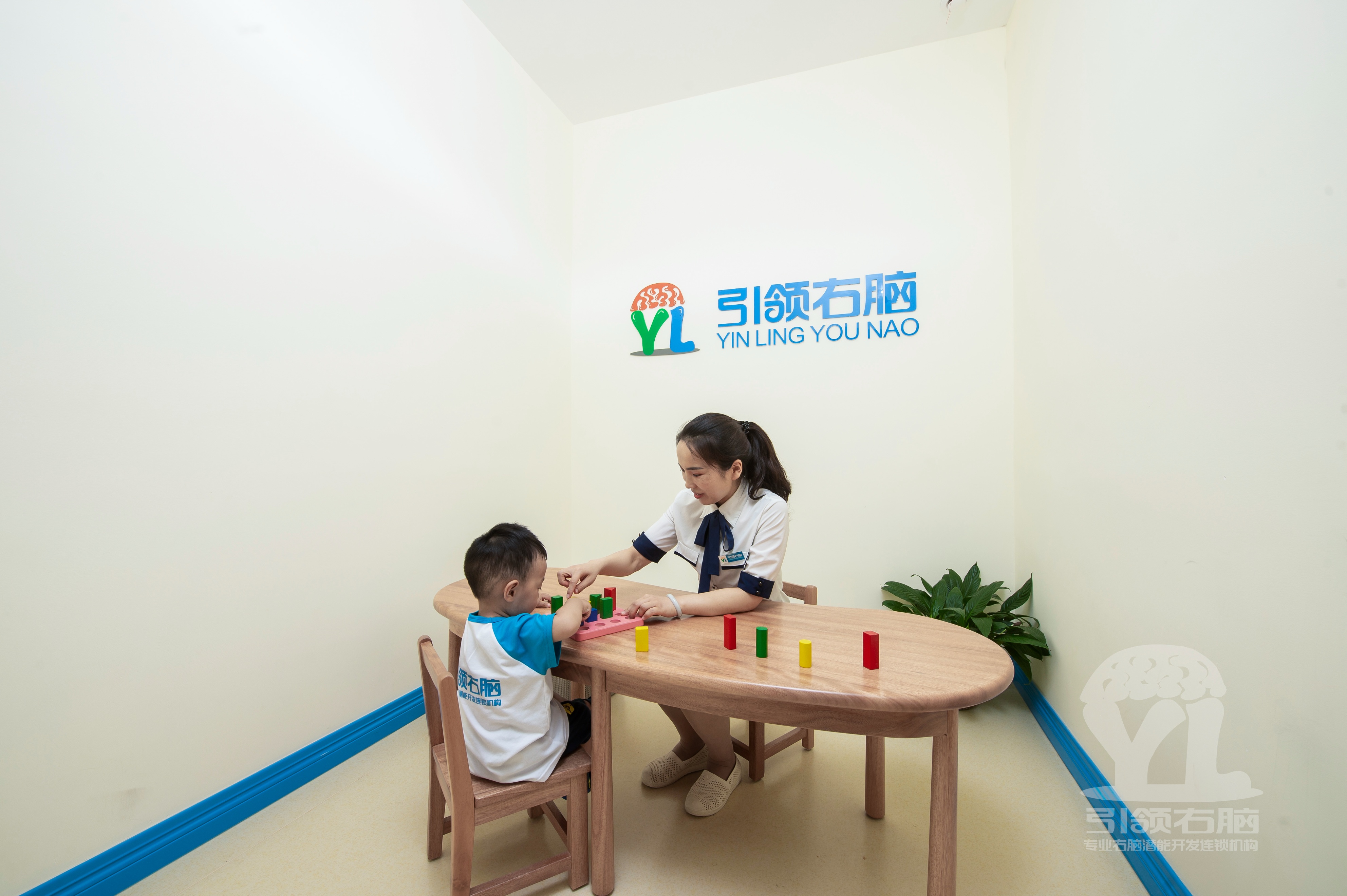 引领右脑成为全脑教育标杆的原因,引领右脑全脑潜能开发师培训