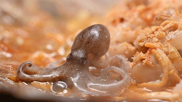 北京路性价比高的早茶店,北京路性价比好店