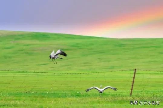 嘿，很多一个人做不了的事，记得与人携手并肩，一起去实现目标